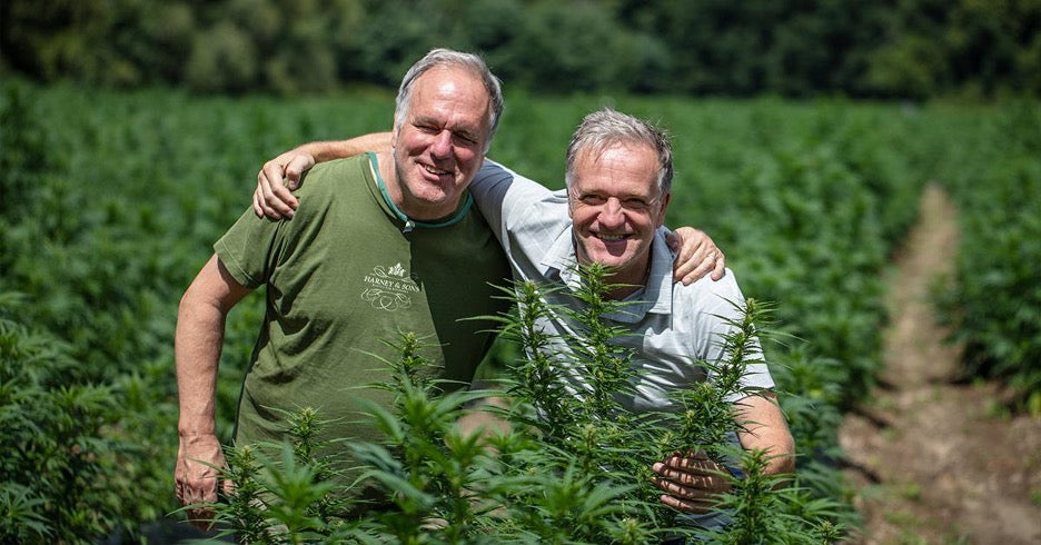Paul Spills the CBD: New to CBD
