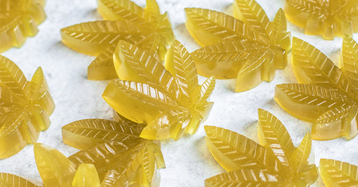 CBD Gummy Recipe